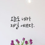 캘리그라피 레터링 스티커 오늘도 네가 제일 예쁘다 검정 S : 모노먼트