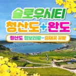 와우부산여행사 [부산출발]  슬로우시티 청산도+완도1박2일 패키지 버스투어여행 : 와우부산여행사
