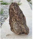 화산석(현무암) 특대형 25cm-28cm어항 정원 장식돌 1개 : 부림마트