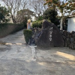 [대일농장] 제주 꼬마한라봉 가정용 당도선별 5kg 10kg 15kg : 니어제주