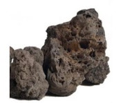 화산석(현무암) 중형 15cm-18cm어항 정원 장식돌 1.5-2kg 1개 : 부림마트