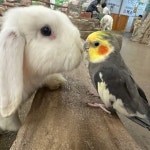 [인천] 실내 동물원 쥬벅스 : LSCOMPANY