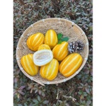 경북 성주참외 가정용 못난이 참외 (혼합과) 1kg : happydayshop