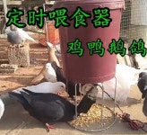 자동급식기 피더기 농장 모이 시간 피더 모이주는기계 8 원재료 공급기는 플러그만 꽂으면 바로 원재 : 행복한 하루ST