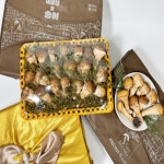 믿고 선물하는 내장산 참송이 버섯 송이버섯 선물세트[희망일배송] : 내장산참송이