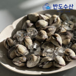 [반도수산] 벌교 새꼬막 중, 10kg, 1개 : 반도수산