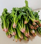 청아담 해품맞은 남해 시금치 보물초 500g 1kg 1.5kg 2kg 시금치무침 시금치나물 : 청아담