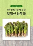 25년 일월산 자연산 두릅 참두릅 유기농 자연산 산지직송 : 영양 늘푸른농장