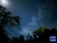 보홀 해피엔딩팩 출국팩 막날팩 ICM몰 필수랜드투어 반딧불투어 현지맛집 마사지 : 보자무싸