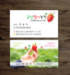 딸기농원, 딸기농장[일반용지] 제작 인쇄 500매 : 대전명함제작 파워디자인