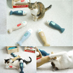 고양이 캣닢 장난감 물고기 쿠션 토이 궁딩팡팡 인형(랜덤발송) : 멍양다움