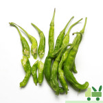 꽈리고추 500g (특) : 사라상회