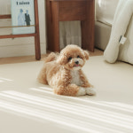 개놀자 슬림 실리콘 강아지 롤매트 애견 고양이 미끄럼방지 매트 아이보리, 140x100cm : 개놀자펫