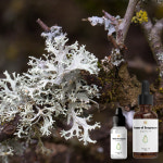 오크모스 프래그런스 OAK MOSS FRAGRANCE 방향제 향수 만들기 향료 : NIF 프래그런스