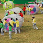 다람쥐통 투명 원통 튜브 1 8 2 0m 단합대회 PVC2 4 8m 장비 워터 안전망 커플 : 넓은마당집