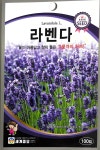 라벤더 씨앗 100립 세계종묘 종자 모종 씨 향신료 허브 노지월동 라벤다 로체 : 슬기로운농약사