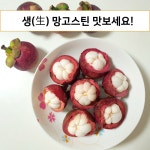 [태국직송] 고당도 생 망고스틴 : 버프템코리아