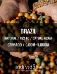 BRAZIL NY2 브라질세하도 싱글원두 : 커피이엔지