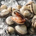 국내산 벌교 꼬막 제철 새꼬막 : 땡큐파머스