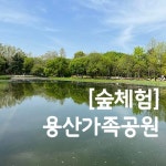 [숲체험]용산가족공원 힐링 숲체험 / 깨비의 숲마을과 함께 떠나요 : 깨비의숲마을