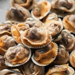 국내산 벌교 꼬막 제철 새꼬막 : 땡큐파머스