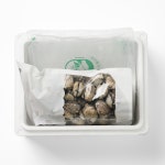 국내산 벌교 꼬막 제철 새꼬막 : 땡큐파머스