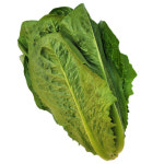 채소퀸 국내산 통로메인 2kg (1.8-2kg) : 채소퀸