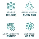 바이오 당케어 프로바이오틱스 바나바잎추출물 400mg x 60캡슐 밀식이섬유 식물발효혼합분말 혈당 장건강 : 조이투데이