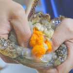 서해안 제철 활 암꽃게 알배기 1kg 2kg 3kg 숫 꽃게 국산 태안 생물 급냉 냉동 싱싱한 : - 자연나라푸드림 -