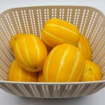 성주참외 과일선물 참외 고당도 제철과일 꿀맛 로얄과 중소과 2kg 3kg : 라이프 멋 농수산마켓