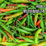 [새벽배송] 국내산 못난이청양고추 1kg : 장터임당