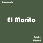 [2025 CoE 2위 농장] 과테말라 엘 모리또 게이샤 워시드 1kg : 레규리어