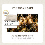 100포 발효 도라지배즙 앤 모과 즙 실속형 고철남헬스케어 : 고철남 공식스토어
