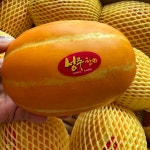 성주 고당도 꿀 참외 2kg 3kg 5kg : 따자마자농장