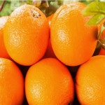 뽀뽀네 고당도 오렌지 3kg 12과 : 뽀뽀네 만물상