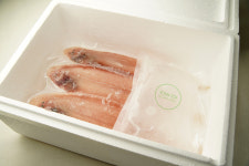 (국내산 수산물 대전) 귀한 국내산 수산물 동해상회 산지발송 : 동해상회