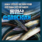 통영산 손질바다장어 : 뚝심명가