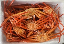 제철 홍게 3kg 자숙 대게 붉은 포항 구룡포 : 밀크숍