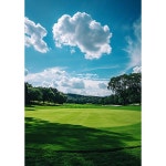 골프 golf 필드 초록 그린 구름 스크린 골프장 스포츠 파르텔 벽지 시트지 롤스크린 : 으뜸데코