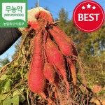 해남 베니하루카 프리미엄 고구마 10kg : 청정마당