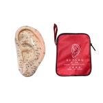 귀모형 인체모형 귀경혈 혈자리 실습모형 1개 : 새암의료기