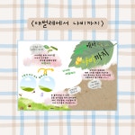 애벌레에서 나비까지 산새쌤 놀이이야기 캔바 놀이패널 템플릿 : 산새쌤