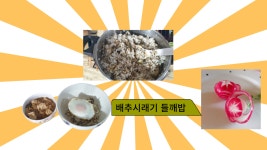 배추시래기 : 요리연구가 ok 농장