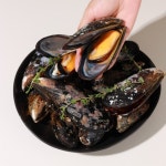 자연산 섭 자연산홍합 제철 10미내외 1kg, 1개 : 아르미마켓