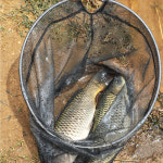 3단 접이식 낚시용 원형 뜰채 민물 바다 붕어 2.1미터 : 알라딘샾