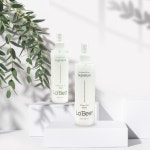라베스트 시그니처 헤어 퍼퓸 미스트 2종 [메리미향, 머스크향] 250ml 미용실 헤어샵 : 선덕여왕몰