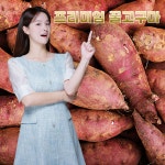 프리미엄 꿀당 고구마 밤 호박 꿀 고구마 베니하루카 물고구마 : 채담이네 식탁