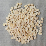 [다온농산] 2025년산 수입 미얀마산 깐동부/동부기피/떡 재료 5kg, 1개 : 다온농산제분