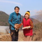 계란 유정란 난각번호2번 무항생제 개터두레농장 농장직송 당일산란 방목 초란 날계란 : 개터두레농장