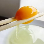 계란 유정란 난각번호2번 무항생제 개터두레농장 농장직송 당일산란 방목 초란 날계란 : 개터두레농장